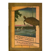 Tortoises